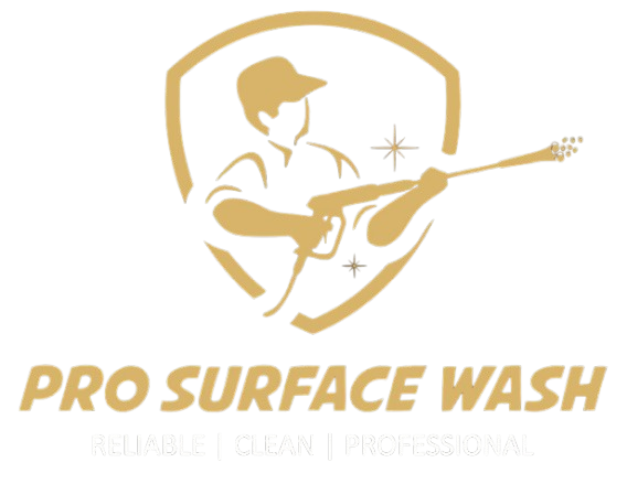 Pro Surface Wash